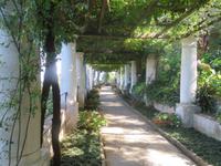 Villa San Michele_6
