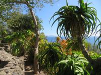 Blick vom Castello Aragonese_2