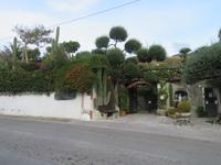 Giardini Ravino auf Ischia