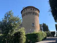 in den Vatikanischen Gärten