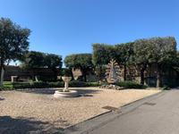 in den Vatikanischen Gärten