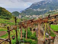 Italien, Amalfiküste, Ravello, Blick von der Villa Cimbrone