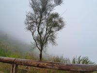 Italien, dicke Wolken am Vesuv