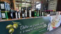 Rundreise Süd-Italien - Besuch einer Ölmühle mit Verkostung