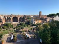 Palatinhügel mit Blick ins Forum