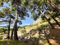 Delphi