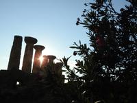 Tal der Tempel - Sizilien