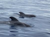 Teneriffa Rundreise Impressionen (19)