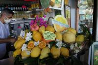 Wanderung durch das wilde Capri (72)