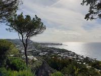 Besuch des Botanischen Gartens La Mortella (1)