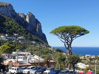 Ausflug auf die Insel Capri (43)