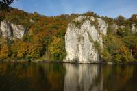 Donaudruchbruch Schifffahrt von Kelheim bis Kloster Weltenburg (81)