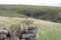 Nationalpark Skaftafell