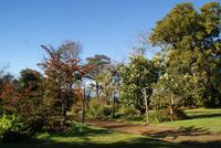 Palheiro Garden (12)