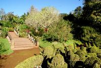 Palheiro Garden (18)