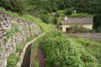 Levadawanderung am Neujahrstag (3)