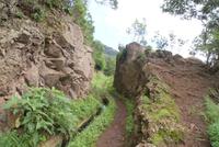 Levadawanderung am Neujahrstag (4)