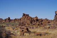 Namibia - Köcherbaumwald (5)