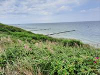 Wanderung von Wustrow nach Ahrenshoop (Hohes Ufer)