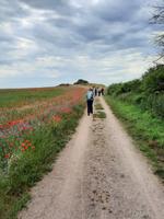 Wanderung von Wustrow nach Ahrenshoop (Hohes Ufer)
