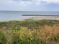 Wanderung von Wustrow nach Ahrenshoop (Hohes Ufer)