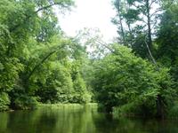 Kahnfahrt in Krutinnen