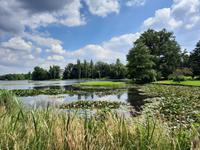 Heimreise - kurzer Aufenthalt am Wörlitzer Park
