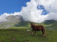 Tag  Wanderung im Nationalpark Picos de Europa - den spanischen Alpen (106)