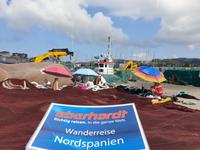 Tag  Freizeit oder fakultativer Ausflug mit Wanderung auf der Insel Ons im Nationalpark Illas Atlantica (3)