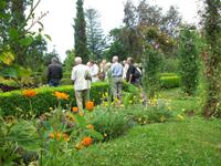 ...in Blandys Garden