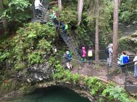 Naturbrücke am Schwarwasserbach