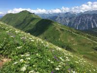Blick von der Kanzelwand zum Fellhorn, Kleinwalsertal