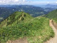 Blick ins Allgäu