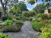 Freilichtmuseum Skansen - Kräutergarten