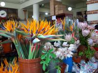 Markthalle von Funchal