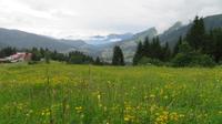 Blick nach Hirschegg