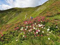 4. Etappe, 2.Teil, von Fügen nach Hochfügen