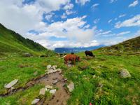 Mayrhofen, Ahornplateau, Wanderung zur Edelhütte