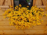 6.Etappe von Mayrhofen nach Südtirol ins Pfitschtal, Abstieg vom Pfitscherjoch