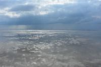 Halbinsel Krummhörn - Wattwanderung