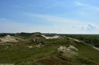 Die Dünenlandschaft auf Norderney ist Teil des Nationalparks Niedersächsisches Wattenmeer - UNESCO Weltnaturerbe