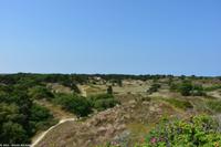 Spiekeroog - Blick über die Geest