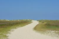 Sanddünen auf Spiekeroog
