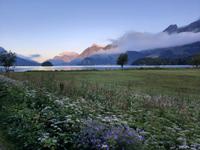 Morgenstimmung am Silser See