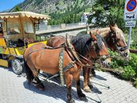 Pferdekutschfahrt ins Val Roseg