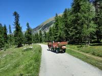 Pferdekutschfahrt ins Val Roseg