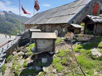 Grimselpass - Murmeltierpark