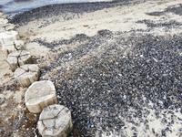 Hohe Düne, Thalasso Wanderweg nach Markgrafenheide