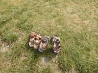 Nordfriesland Husum Nordstrand Wattwanderung