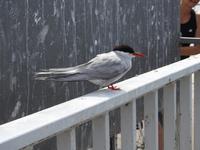 9C9F7971-B1D3-460A-AD8F-6B39526D9836